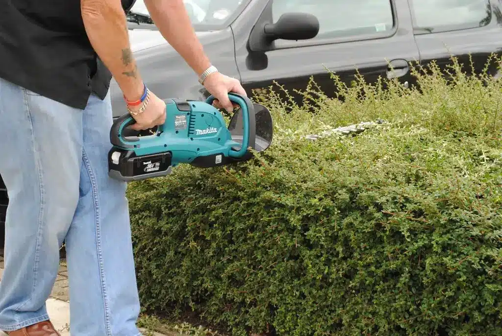 Exploring Hedge Trimmer Uses
