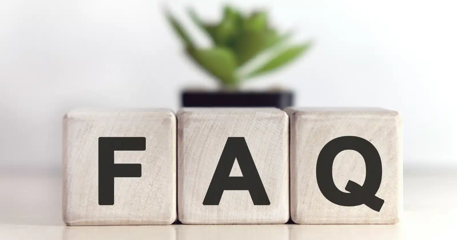 Wooden blocks that read "FAQ" with succulent in the background